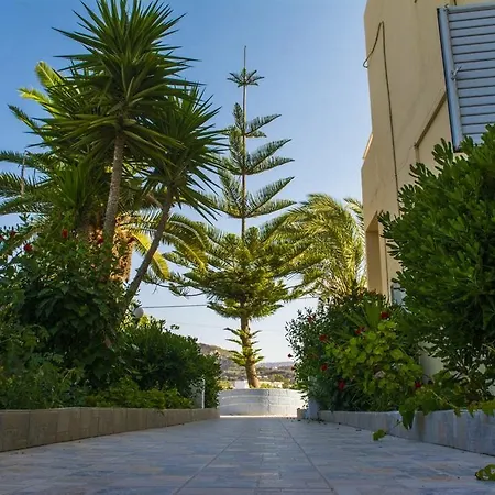 Yiannis The Beekeeper *